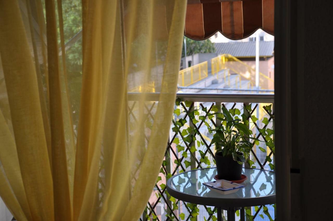 Apartament Alenia